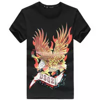 graffiti dsquared2 short t-shirt fly eagle